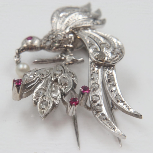 89 - Early 20th century platinum brooch, in the form of a bird of paradise, set with a multitude of diamo... 