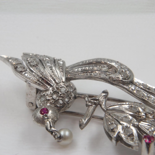 89 - Early 20th century platinum brooch, in the form of a bird of paradise, set with a multitude of diamo... 