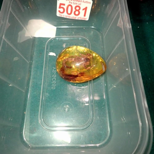 1063 - Scorpion preserved in amber tree resin. UK P&P Group 1 (£16+VAT for the first lot and £2+VAT for sub... 