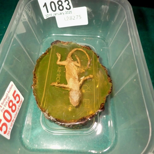 1083 - Lizard (whole) preserved in amber tree resin. UK P&P Group 1 (£16+VAT for the first lot and £2+VAT f... 