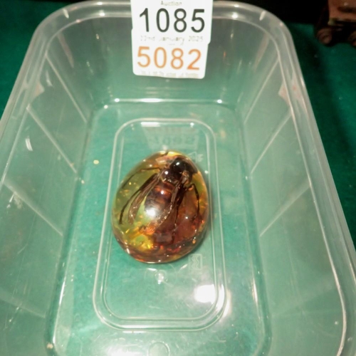 1085 - Large hornet preserved in amber tree resin. UK P&P Group 1 (£16+VAT for the first lot and £2+VAT for... 