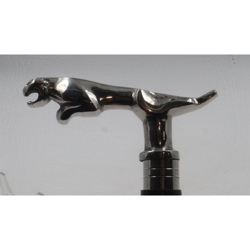 266A - Chrome Jaguar handled walking stick, ebonised wood, L: 90 cm. Not available for in-house P&P