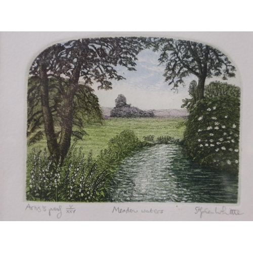 2038 - Stephan Whittle (1953-2000): artist proof etching, Rookery Farm, overall 37 x 32 cm, with two furthe... 