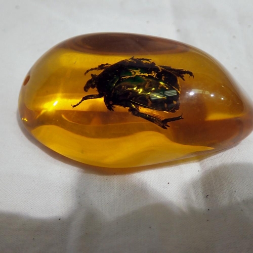 1115 - Green beetle preserved in amber tree resin. UK P&P Group 1 (£16+VAT for the first lot and £2+VAT for... 