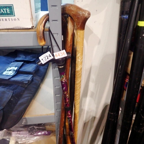 1224 - Five mixed walking sticks. Not available for in-house P&P