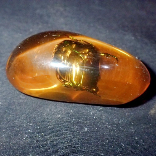 1062 - Green beetle preserved in amber tree resin. UK P&P Group 1 (£16+VAT for the first lot and £2+VAT for... 