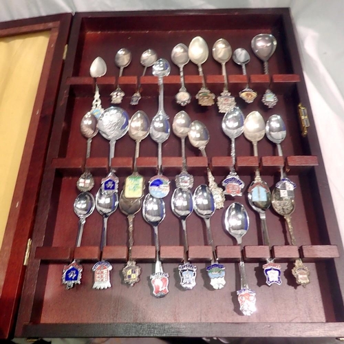 1192 - Mixed teaspoons in a display case. Not available for in-house P&P