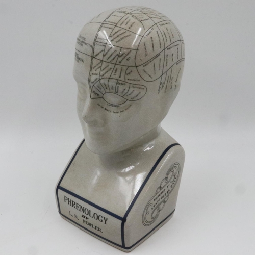 121 - Large L. N Fowler Phrenology head, H: 30 cm. UK P&P Group 3 (£30+VAT for the first lot and £8+VAT fo... 