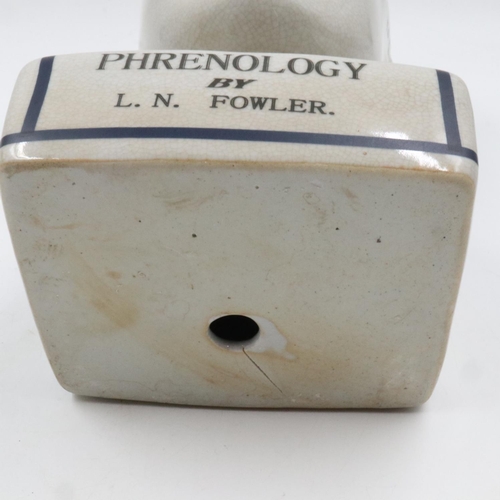 121 - Large L. N Fowler Phrenology head, H: 30 cm. UK P&P Group 3 (£30+VAT for the first lot and £8+VAT fo... 