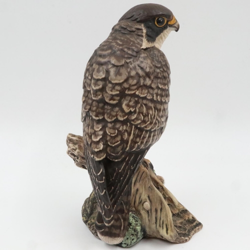 142 - Royal Doulton Peregrine Falcon, limited edition 277/2500, signed in gold by the sculpture, no cracks... 