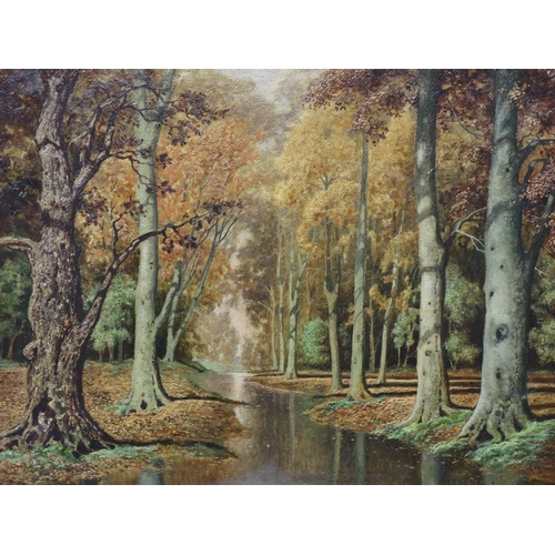 Lot 2004      