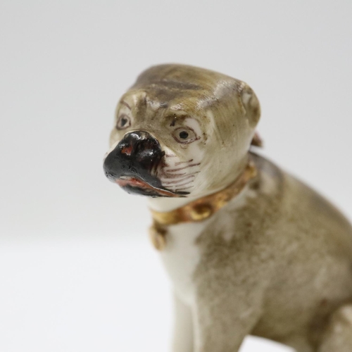 114 - Duesbury Derby model of a seated pug dog on scrolled moulded base, unmarked , c. 1790-95 Derby porce... 