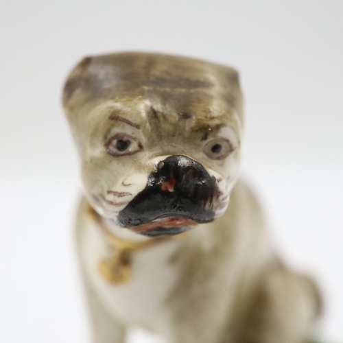 114 - Duesbury Derby model of a seated pug dog on scrolled moulded base, unmarked , c. 1790-95 Derby porce... 