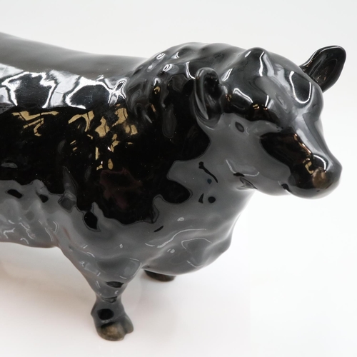 158 - Beswick Aberdeen Angus bull, no cracks or chips. UK P&P Group 2 (£24+VAT for the first lot and £5+VA... 
