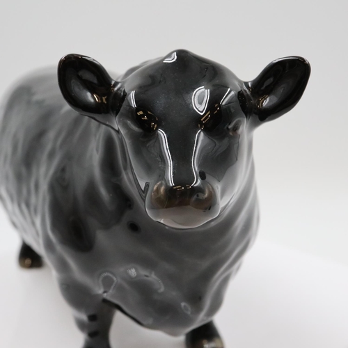 158 - Beswick Aberdeen Angus bull, no cracks or chips. UK P&P Group 2 (£24+VAT for the first lot and £5+VA... 