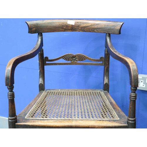 2048 - A pair of Regency period rosewood elbow chairs, each having bergère seats, with turned supports and ... 