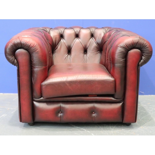 2049 - A Chesterfield club armchair in ox-blood red leather. Not available for in-house P&P