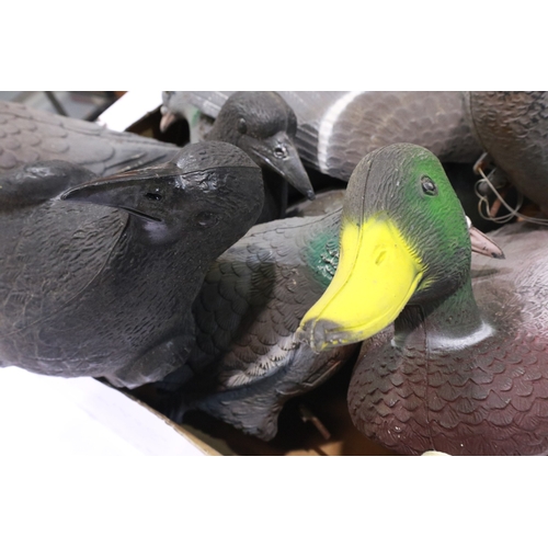 2016 - Ten decoy plastic pigeons and crows. UK P&P Group 2 (£24+VAT for the first lot and £5+VAT for subseq... 