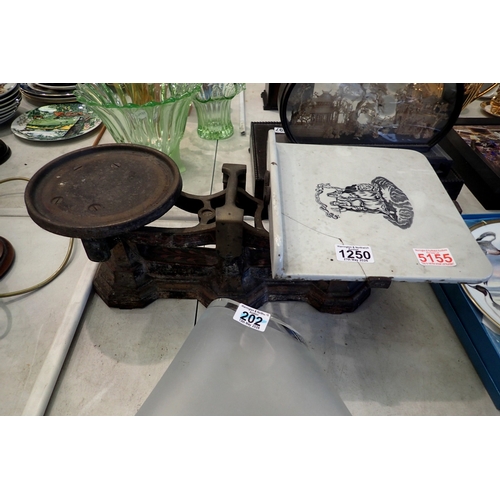 Lot 1250      