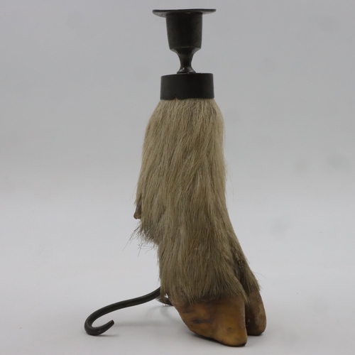 Lot 202       