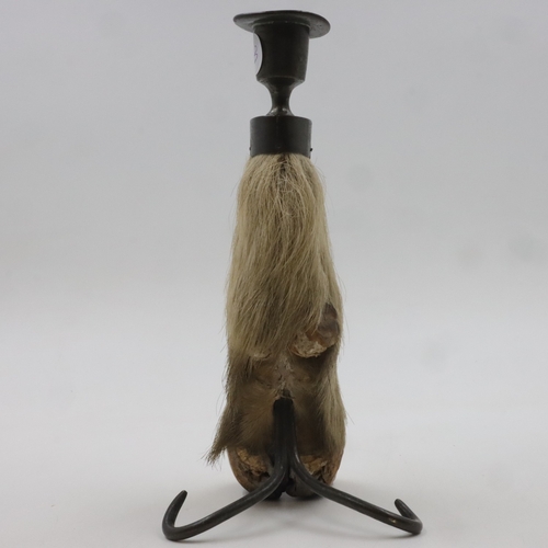 202 - Taxidermy hoof candlestick, H: 23 cm. UK P&P Group 1 (£18+VAT for the first lot and £2+VAT for subse... 