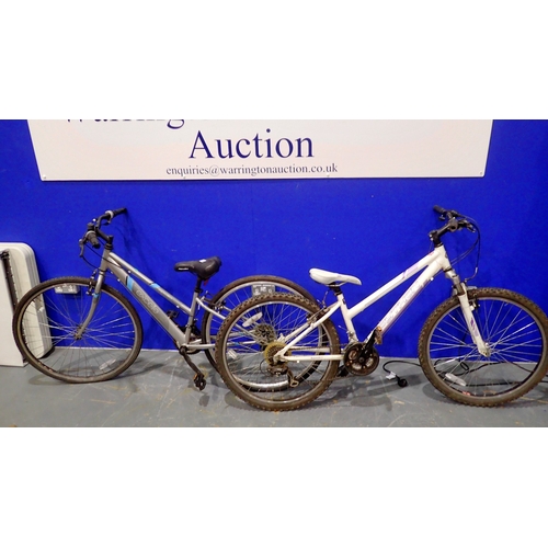 Lot 1008      