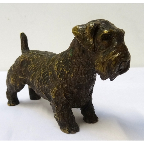 268 - BRONZE FIGURE OF A CESKY TERRIER
the standing figure with textured fur detail overall and erect tail... 