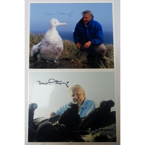 309 - TWO SIR DAVID ATTENBOROUGH SIGNED NATURE PICTURES 
both 20cm x 25cm and both having a Certificate of... 