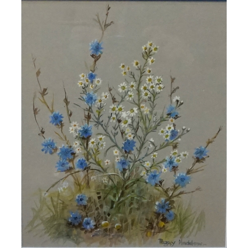 360 - JOHN S CLARK 
'St.Brigid Anemones', watercolour, signed, 19.5cm x 37.5cm, and Peggy Haddow 'Chicory ... 