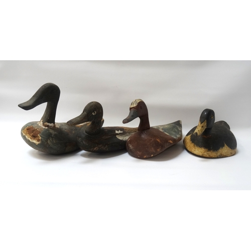 326 - FOUR VINTAGE CARVED AND PAINTED DECOY DUCKS
naturalistically modelled and decorated, ranging in leng... 