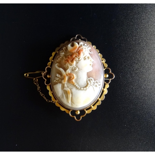 66 - SHELL CAMEO BROOCH
in pierced nine carat gold mount with safety chain, the oval cameo depicting a fe... 