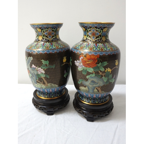 251 - PAIR OF CHINESE CLOISONNE VASES
with a black ground decorated with birds of paradise and flowers, on... 