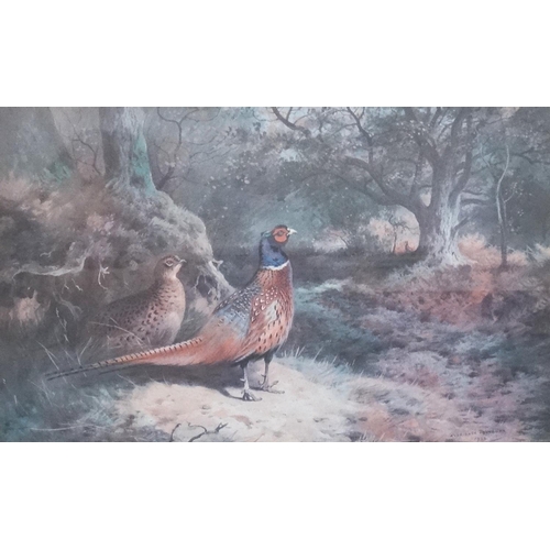 475 - ARCHIBALD THORBURN
Overlooked Roe deer, limited edition print 424/500, label to verso, 38.5cm x 50.5... 