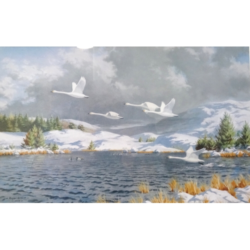 476 - ROGER CROSON
Swans in flight, print, 27cm x 42cm and companion Highland evening sunset , 27cm x 41cm... 