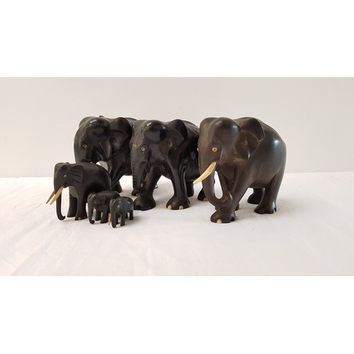 313 - SET OF SIX CARVED EBONY ELEPHANTS
of graduated size with ivory detail (6)