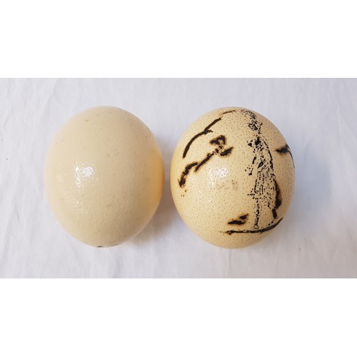 343 - UNUSUAL OSTRICH EGG
decorated with a female figure, drilled to both ends, together with a plain Ostr... 