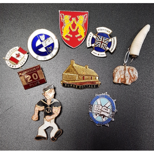 422 - SELECTION OF ENAMEL LAPEL BADGES
including the Scottish Bowlers Fellowship 2001, Burns Cottage, Scot... 