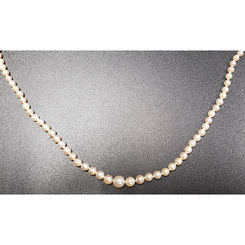 192 - GRADUATED CULTURED PEARL NECKLACE
with diamond set eighteen carat gold clasp, 46cm long