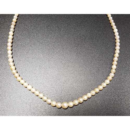 199 - GRADUATED CULTURED PEARL NECKLACE
with unmarked gold clasp, 38cm long