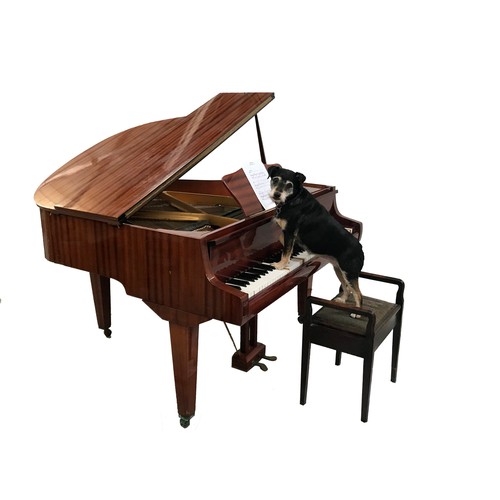 485 - HUPFELD MAHOGANY CASED BABY GRAND PIANO
the metal frame marked 145, standing on tapering supports wi... 