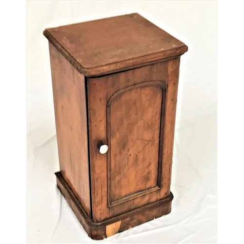 461 - VICTORIAN SATINWOOD POT CUPBOARD
with a replaced moulded top above an arched panel door, standing on... 