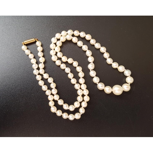 70 - GRADUATED CULTURED PEARL NECKLACE
with nine carat gold clasp, approximately 42.5cm long