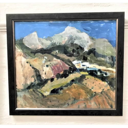 352 - SHEILA MACMILLAN DA PAI (SCOTTISH 1928-2018)
Cortes, oil on card, label, inscribed and dated 28/9/07... 