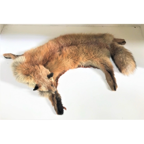 213 - FOX SKIN
with head and brush, felt backed, 93cm long