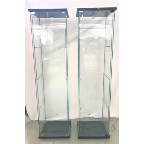 375 - TWO ILLUMINATED GLASS DISPLAY CABINETS
each with three glass shelves, 163.5cm high (2)