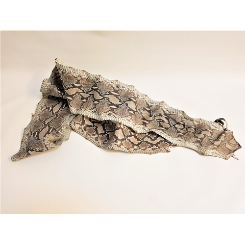 212 - PYTHON SNAKE SKIN
280cm long