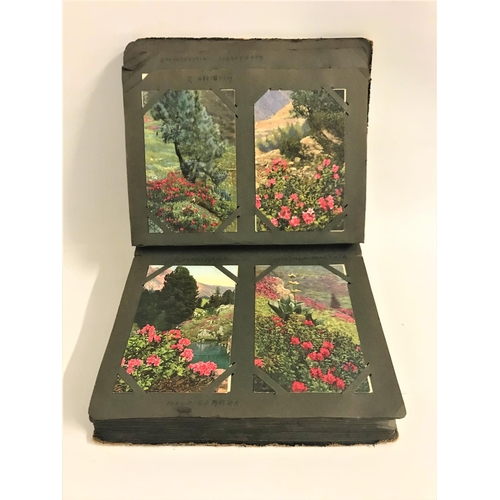 398 - EDWARDIAN POST CARD ALBUM
containing one hundred and sixty six colour postcards of flora and fauna