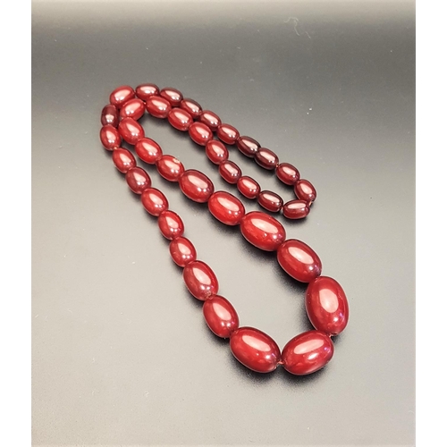 113 - GRADUATED CHERRY AMBER COLOURED BEAD NECKLACE
40 grams and approximately 53cm long