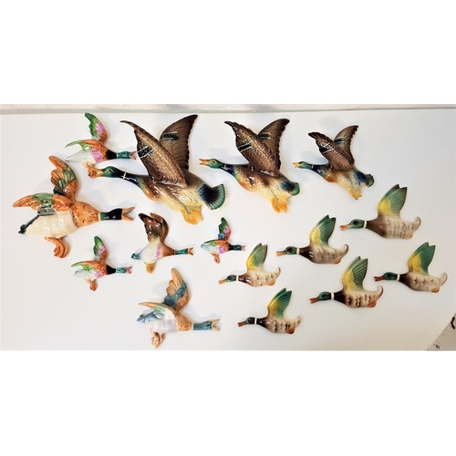 188 - LARGE SELECTION OF DUCK WALL PLAQUES
including a graduated set of three by Jema Holland; a further t... 