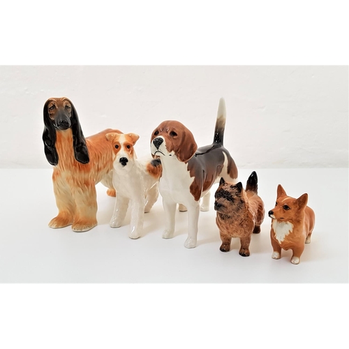 183 - FIVE BESWICK DOG ORNAMENTS
comprising an Afghan hound marked 'Hajubah Of Davlen', a fox terrier, a b... 